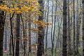 2016_10_28 (0012)